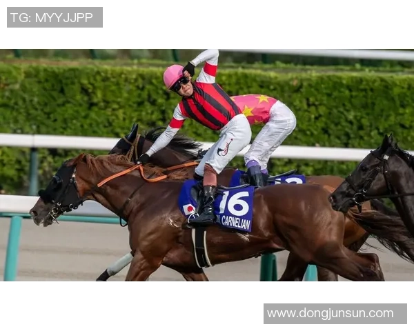 养马成癖的足球巨星盘点 他们为何将马术与足球激情结合